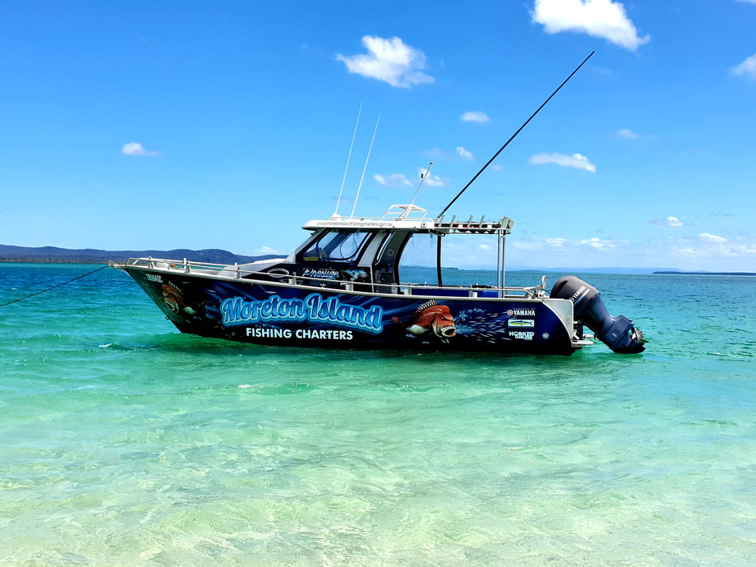 brisbane fishing tour